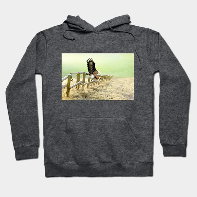 The Bald Eagle is Landing Hoodie by lauradyoung